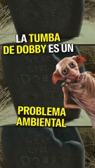 La tumba de Dobby en Gales: un homenaje que causa impacto ambiental ⚠️