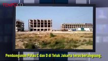 Pembangunan Pulau C dan D di Teluk Jakarta Terus Berlangsung