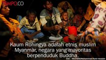 Mengapa Muslim Rohingya Disebut Paling Teraniaya di Dunia?
