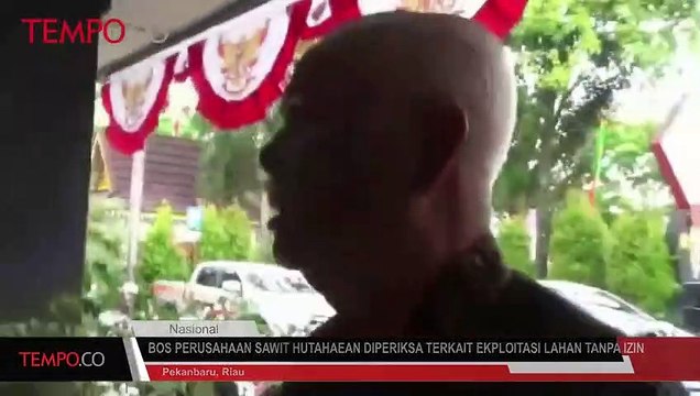 Bos Perusahaan Sawit Hutahaean Diperiksa Terkait Ekploitasi Lahan Tanpa Izin