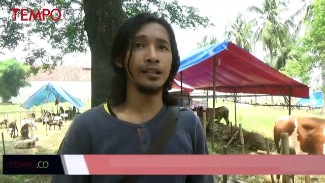 Sepi Pembeli, Pedagang Hewan Kurban di Tangerang Jual Hewan Kurban Via Online