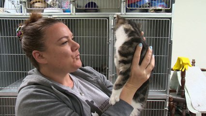 17 nov TOPO LPM Refuge chats