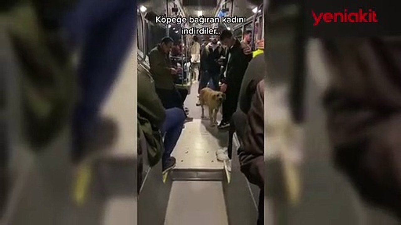 Köpek tartışması! Kadın yolcu metrobüsten inmek zorunda kaldı