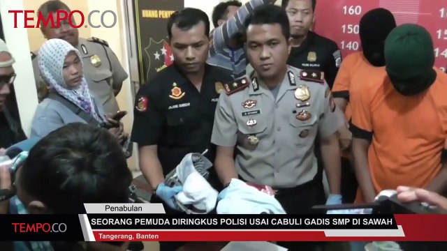 Seorang Pemuda Diringkus Polisi Usai Cabuli Gadis SMP di Sawah