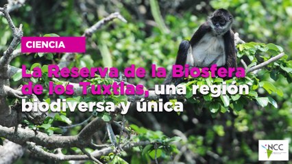 La Reserva de la Biosfera de los Tuxtlas, una región biodiversa y única