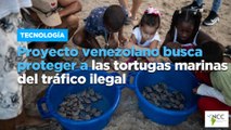 Proyecto venezolano busca proteger a las tortugas marinas del tráfico ilegal