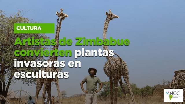 Artistas de Zimbabue convierten plantas invasoras en esculturas