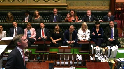 Outgoing NSW govt MPs say goodbyes at final question time ahead of state election
