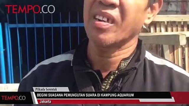 Begini Suasana Pemungutan Suara Pilkada DKI di Kampung Aquarium