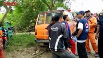 Sepekan Hilang, Bocah 3 Tahun Ditemukan di Hutan Bakau