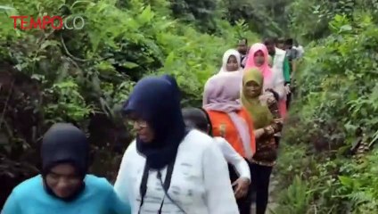 Serunya Safari Gajah di Hutan Tesso Nilo