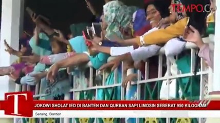 Jokowi Sholat Ied Di Banten Dan Qurban Sapi Limosin Seberat 950 Kilogram