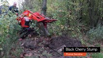 Tree Stump Removal with the Rhino Ripper using a B2261 Kubota Compact Tractor