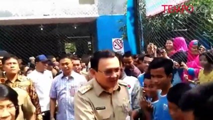 Didampingi Sophia Latjuba, Ahok: Dia Cuma Lihat-Lihat Saja