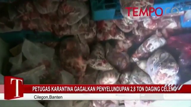 Petugas Karantina Gagalkan Penyelundupan 2,8 Ton Daging Celeng