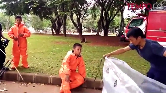 Demi Keamanan Sepak Bola, Sarang Tawon Ini Dievakuasi Petugas Damkar