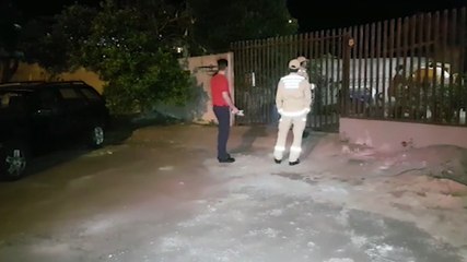 Mulher se assusta com porco espinho e Bombeiros são acionados