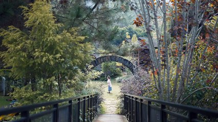 Stevan Pasaribu - Tak Pernah Cukup (Official Music Video)