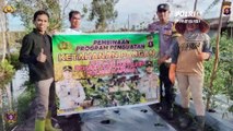 Polres Kapuas Melalui Polsek Jajaran Serentak Mengembangkan Dan Penguatan Ketahanan Pangan
