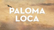 Los Rieleros Del Norte - Paloma Loca (LETRA)