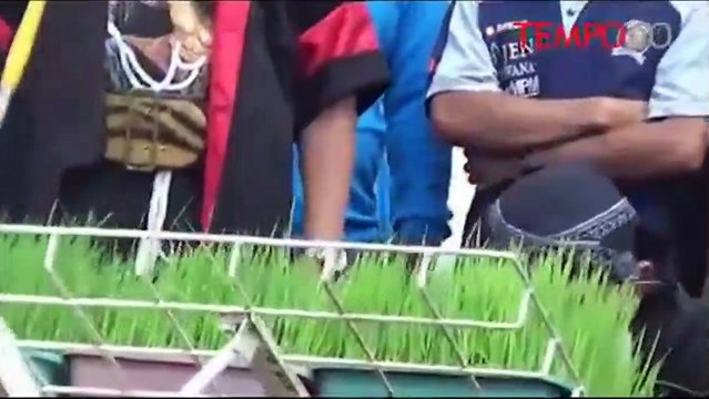 Cegah Impor Beras, Kementan Minta Petani Bantu Bulog