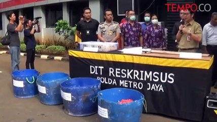 Polda Metro Jaya Gerebek Rumah Pengolahan Usus Berformalin