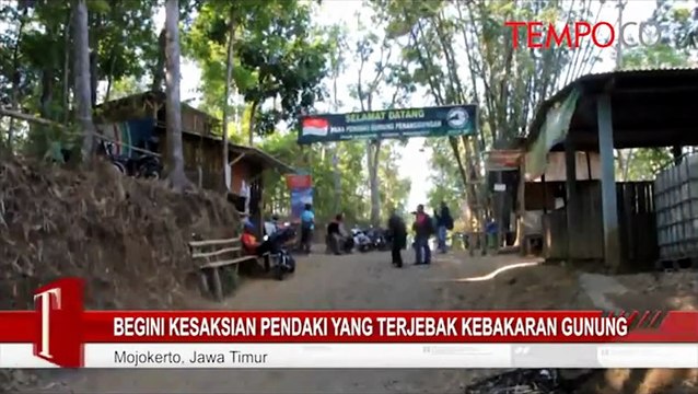 Begini Kesaksian Pendaki yang Terjebak Kebakaran Gunung