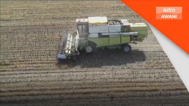 Krisis Ukraine-Rusia | PBB-Rusia-Ukraine setuju lanjut eksport bijirin