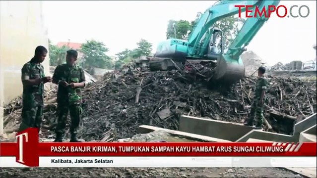 Pasca-Banjir Kiriman, Tumpukan Sampah Kayu Hambat Arus Sungai Ciliwung