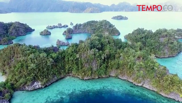 Pantai Morowalli Edisi Khusus TEMPO