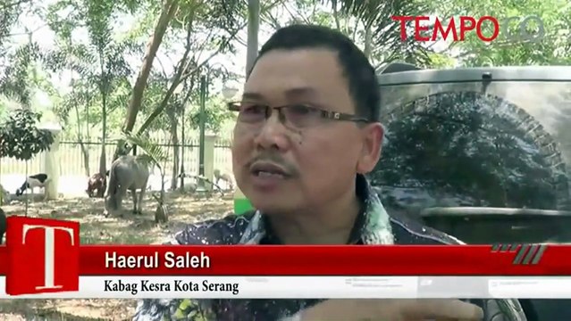 MUI: Hewan Kurban Dibeli dari Duit APBD Ini Tidak Sah; Kenapa?