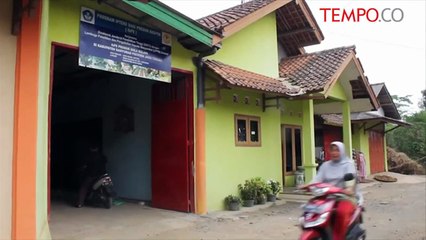 Produksi Gula Kelapa ini Diekspor Hingga Mancanegara