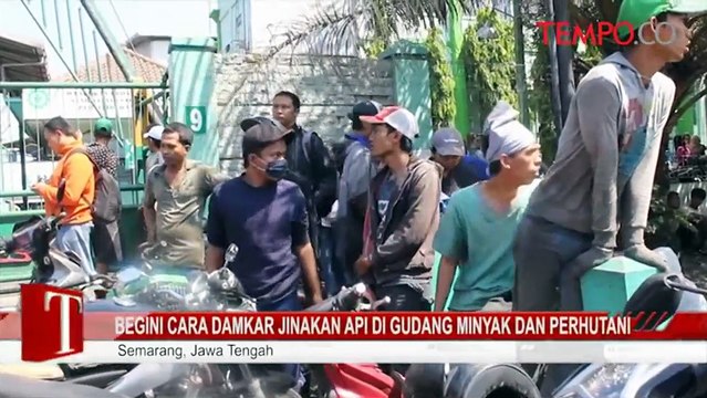 Begini Cara Damkar Jinakan Api di Gudang Minyak dan Perhutani