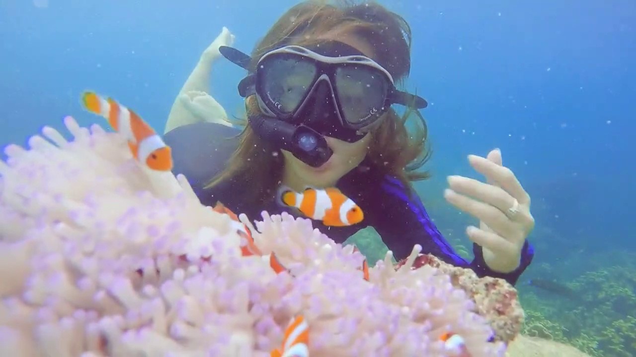 Snorkeling Pahawang Island, Lampung's Paradise: Meet Nemo