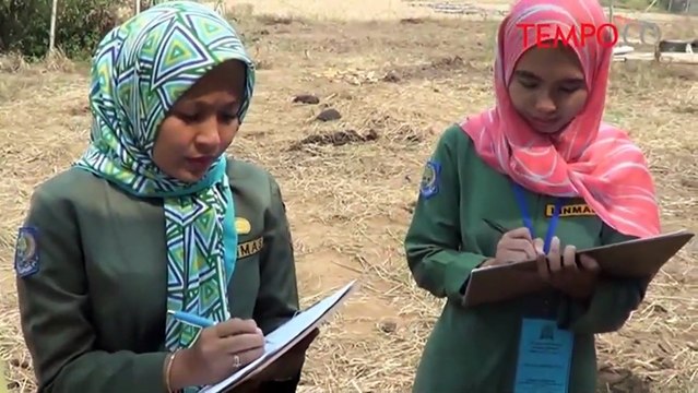 Hewan Kurban Berpenyakitan Dijual Bebas