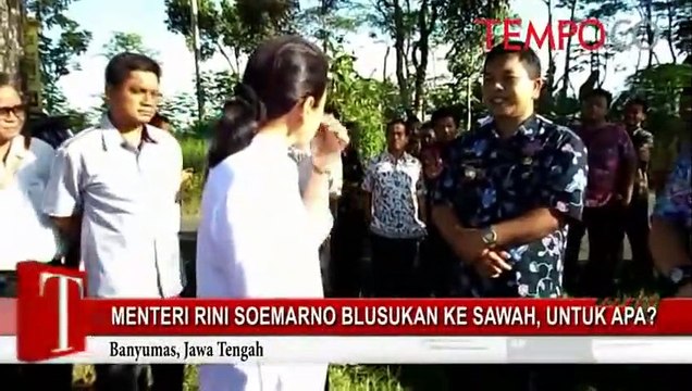 Menteri-BUMN-Rini-Soemarno-Blusukan-ke-Sawah-untuk-Apa-ok.flv
