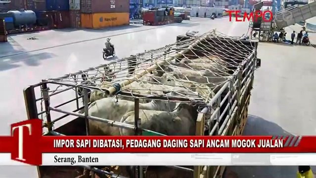 Impor Sapi Dibatasi, Pedagang Daging Sapi Ancam Mogok Jualan