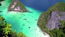 Maraknya Pembantaian Hiu di Raja Ampat, Bupati Angkat Bicara