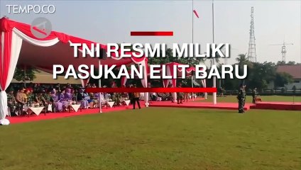 TNI Kini Punya Pasukan Elit Baru, Koopsus