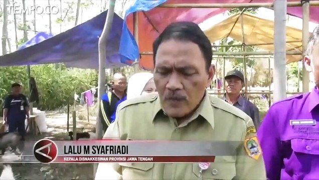 Waspadai Peredaran Hewan Kurban TPA Jelang Idul Adha