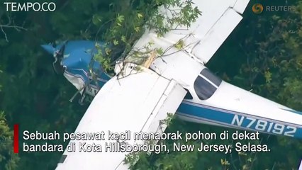 Pesawat Jatuh, Tersangkut di Pohon, Begini Jadinya