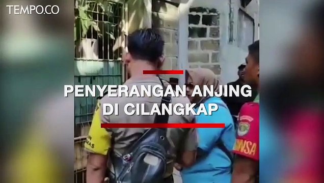 Anjing Serang ART Hingga Tewas di Cilangkap