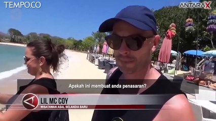 Fenomena Langka, Hiu Karang Dekati Pantai Nusa Dua Bali