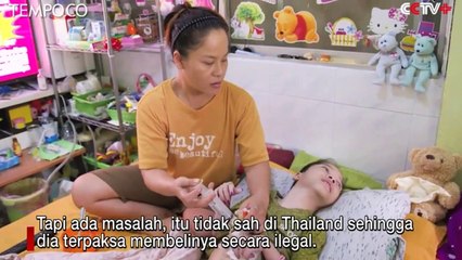 Kini Minyak Ganja untuk Obat Legal di Thailand