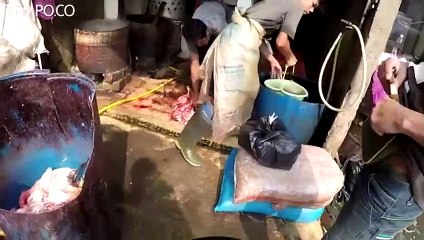 Darmin Nasution Belum Tahu Penyebab Anjloknya Harga Ayam