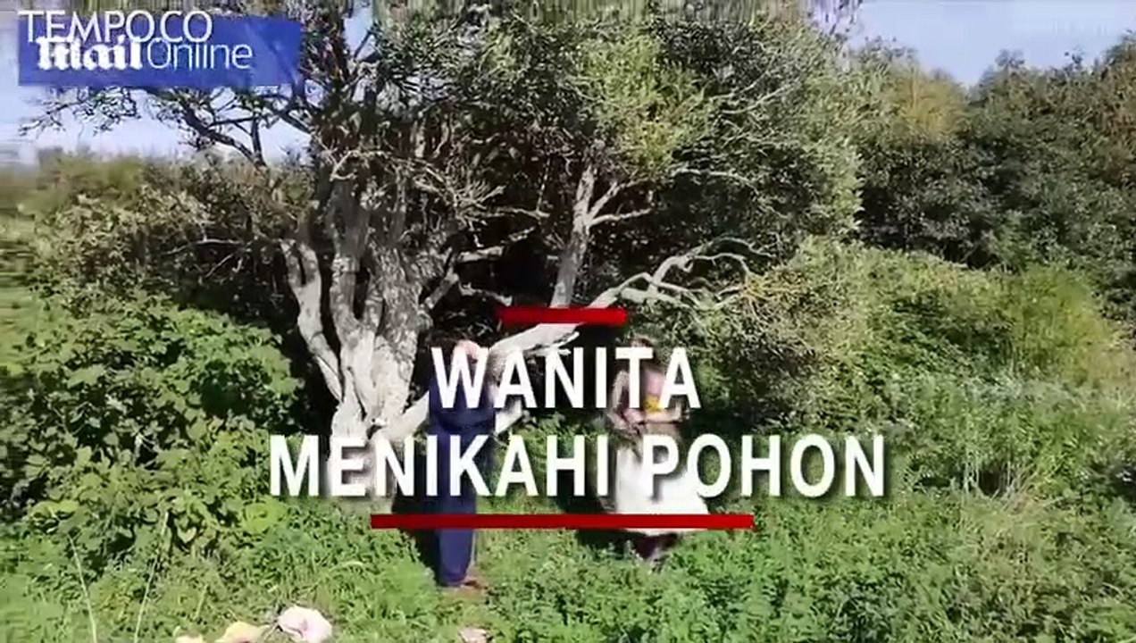 Punya Dua Anak dan Pacar, Wanita Inggris Menikahi Pohon