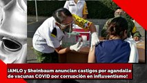 ¡AMLO y Sheinbaum castigarán el agandalle de vacunas C0VlD por influyentismo!