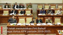 Saut Situmorang Mundur dari KPK, Ini Tanggapan Jokowi