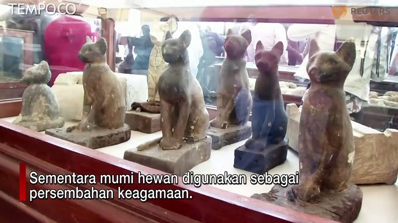 Ditemukan Mumi Anak Singa dan Kumbang Scarab Terbesar di Dunia