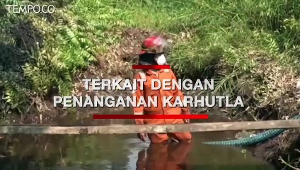 Soal Karthutla, Greenpeace: Jokowi Hanya Lip Service